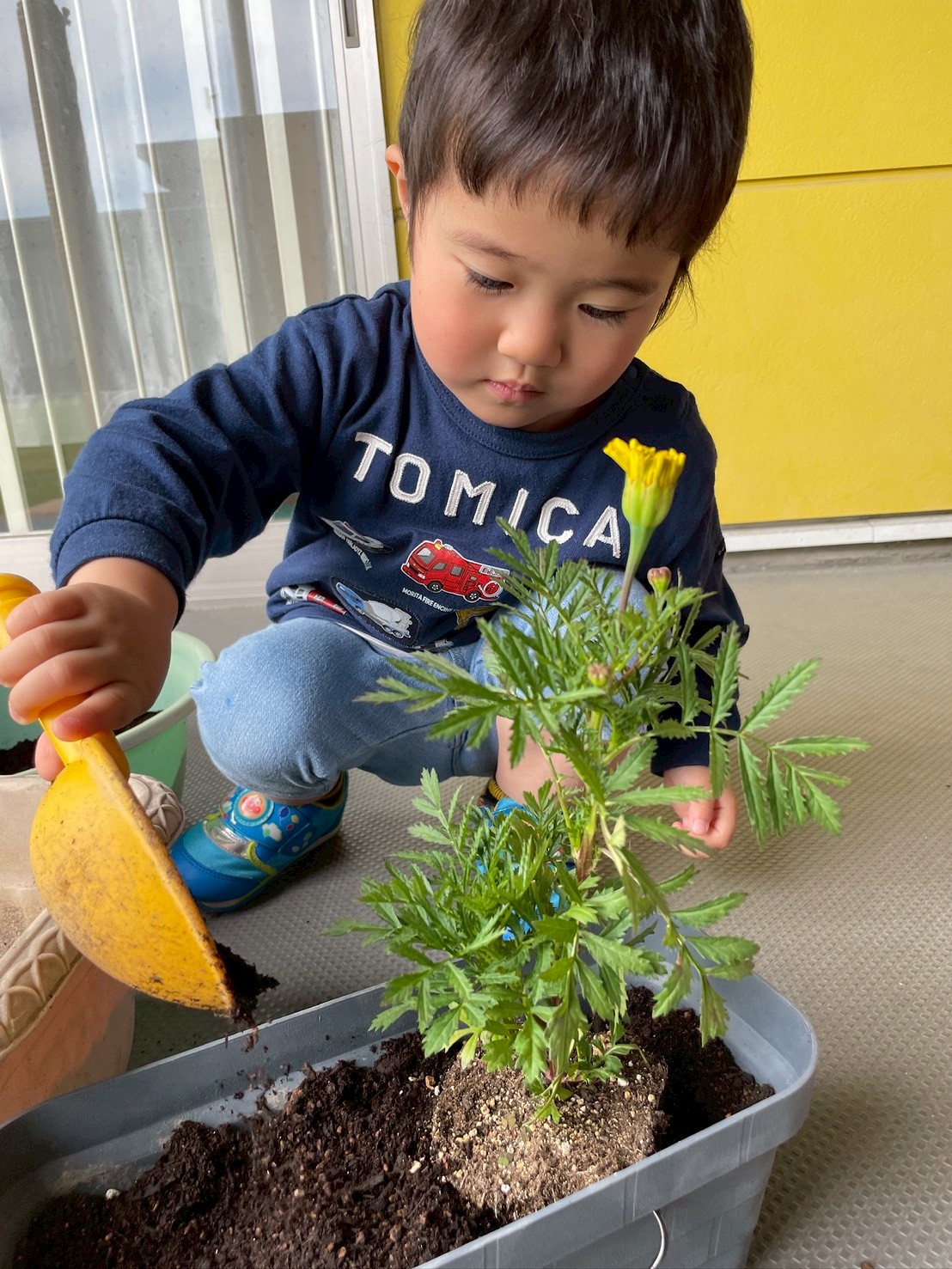 植物を育てる体験活動