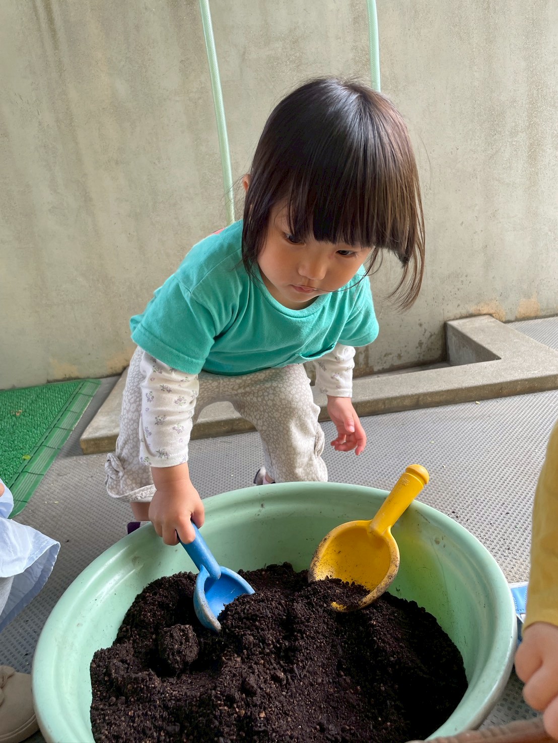 土に触れる体験活動